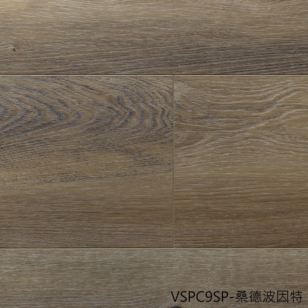 VSPC9 康威溪