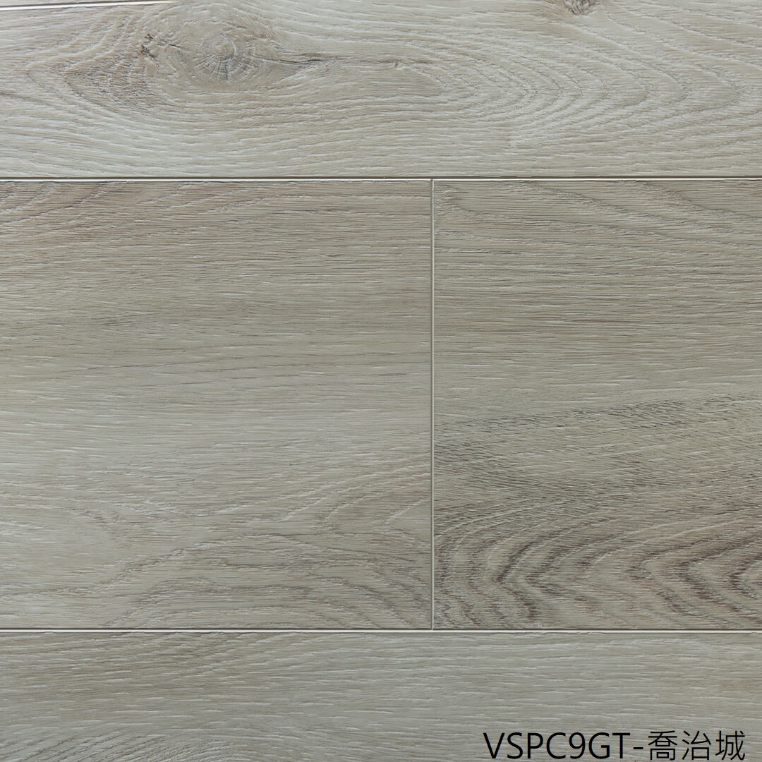 VSPC9GT 喬治城