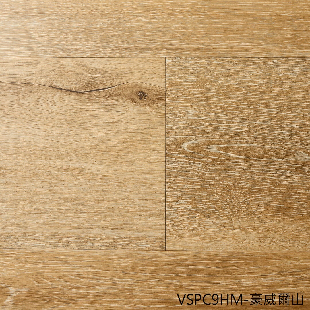 VSPC9HM 豪威爾山