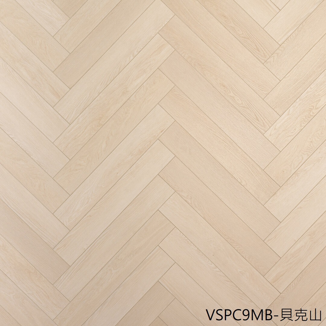 VSPC9MB 貝克山