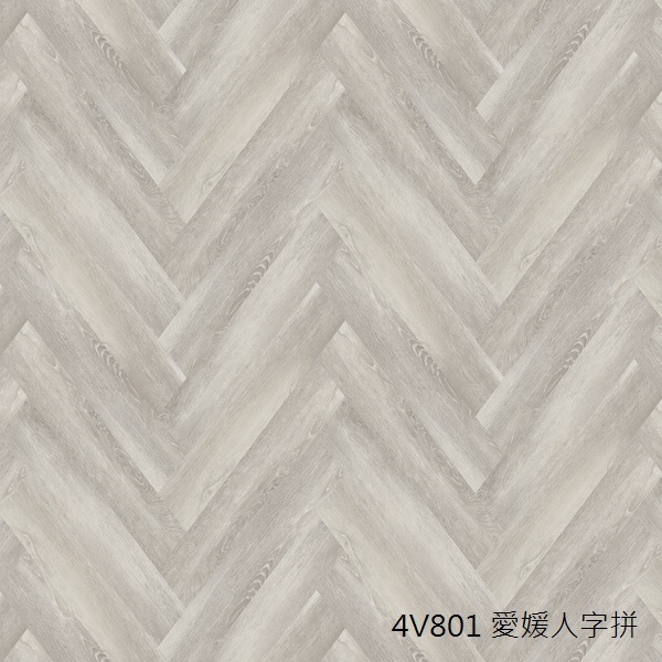4V801 愛媛 人字拼大圖