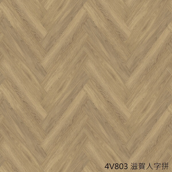 4V803 滋賀 人字拼大圖